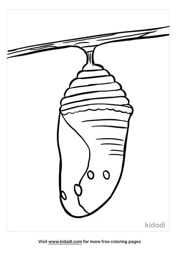 chrysalis coloring page-3-lg.png