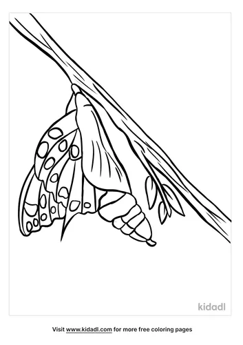 chrysalis coloring page-4-lg.png
