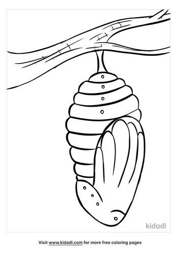 chrysalis coloring page-5-lg.png