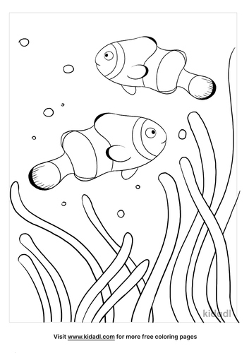 Clownfish Coloring Pages | Free Fish Coloring Pages | Kidadl