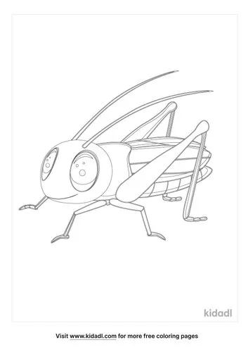 cricket-coloring-pages-3-lg.jpg