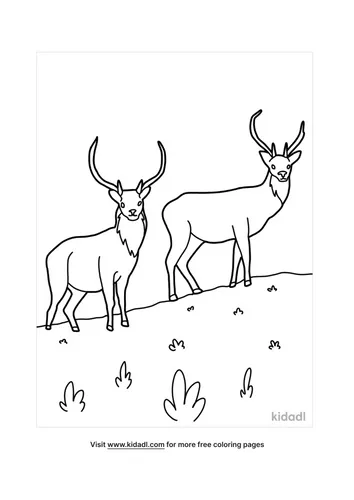 deer coloring pages-5-lg.png