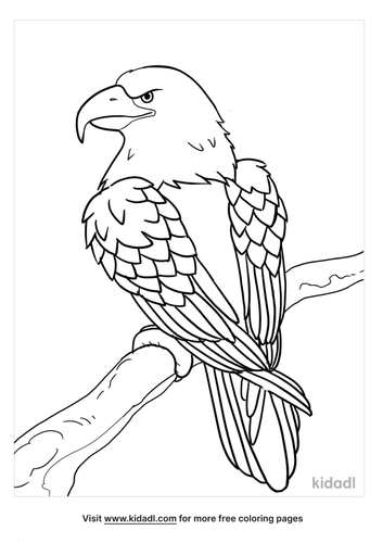 Eagle Coloring Pages Free Birds Coloring Pages Kidadl