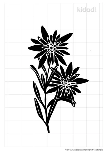 edelweiss-flower-stencil.png