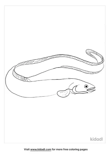 eel-coloring-page-2.png