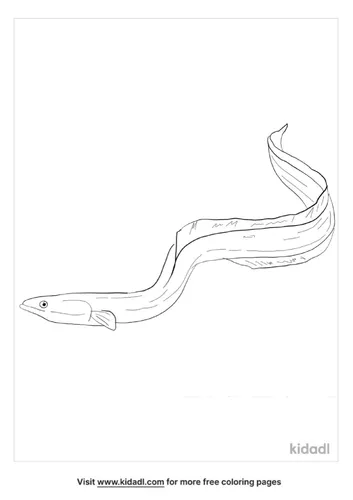 eel-coloring-page-3.png