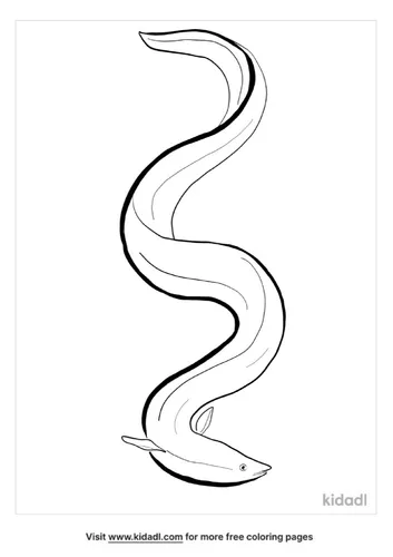 eel-coloring-page-4.png