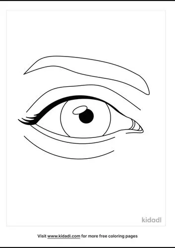eye-anatomy-coloring-pages-2-lg.png