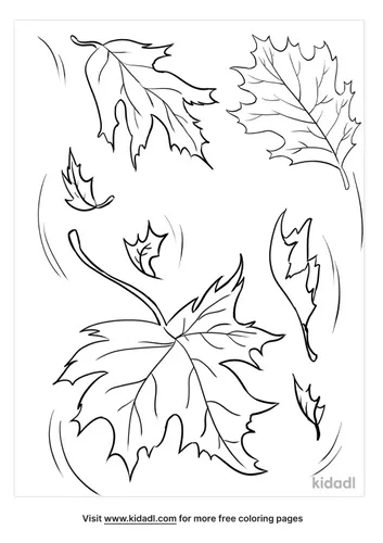 fall leaves coloring pages-4-lg.png