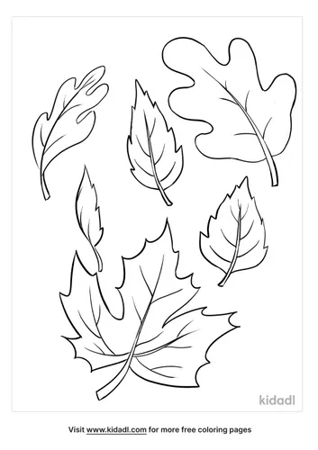 fall leaves coloring pages-5-lg.png