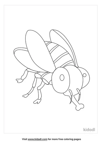flies-coloring-pages-4-lg.png