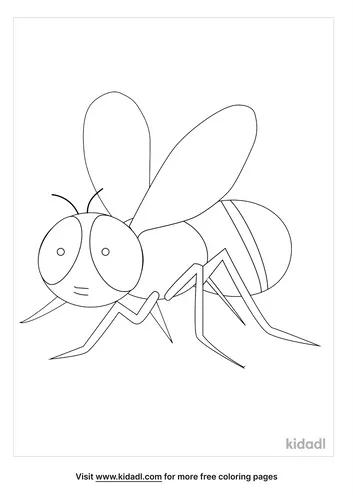 flies-coloring-pages-5-lg.png