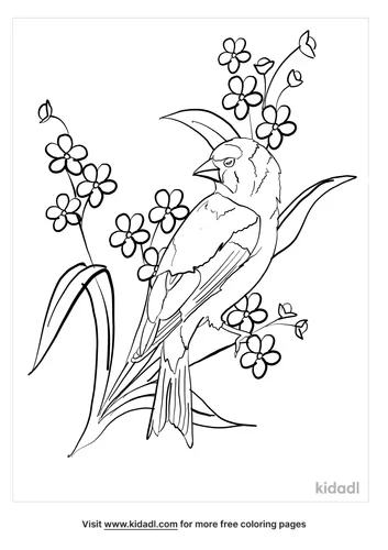 goldfinch-coloring-page-3-lg.png