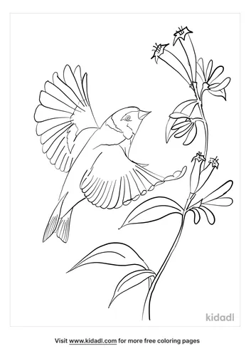 goldfinch-coloring-page-5-lg.png