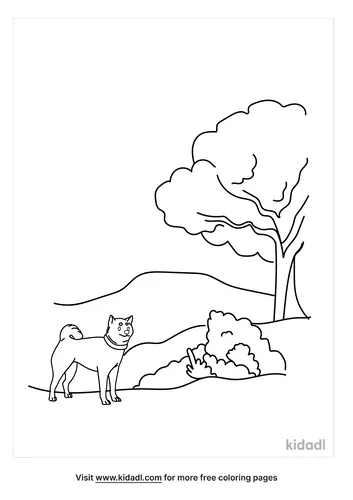 grassland-coloring-page-1.png