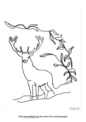 grassland-coloring-page-2.png