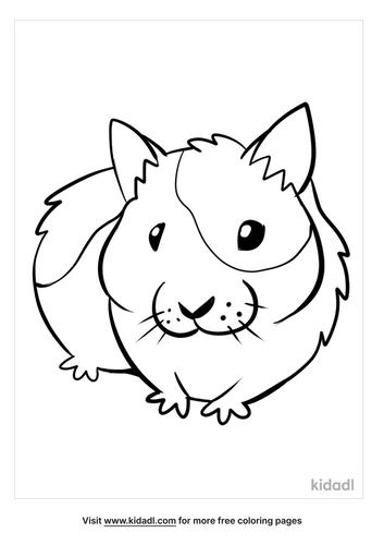 Hamster Coloring Pages | Free Animals Coloring Pages | Kidadl