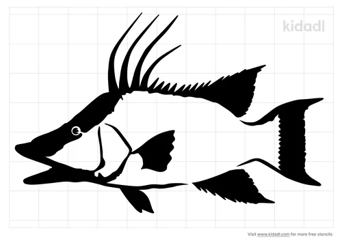 hogfish-stencil.png