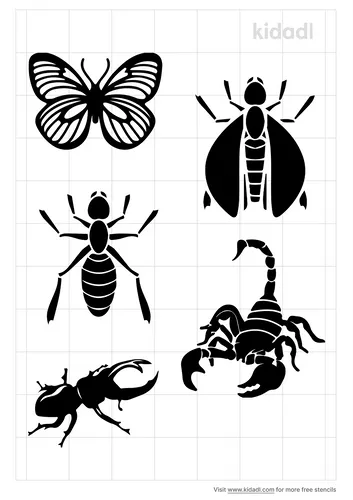 insect-stencil