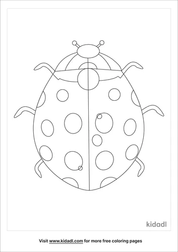 insects-coloring-page-1.png