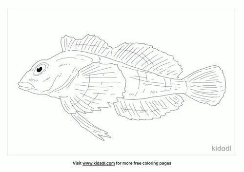 irish-lord-fish-coloring-page