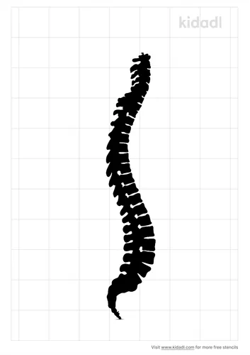 lumbar-spine-stencil.png