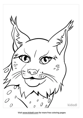 lynx picture-3-lg.png