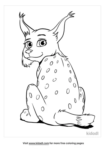lynx picture-4-lg.png