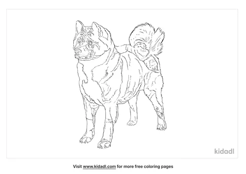 norwegian-elkhound-coloring-page