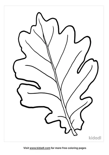 oak leaf coloring page-3-lg.png