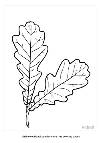 oak leaf coloring page-4-lg.png