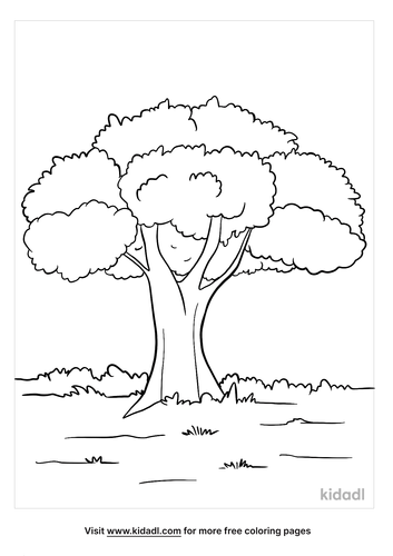 Oak Tree Coloring Pages Free Nature Coloring Pages Kidadl