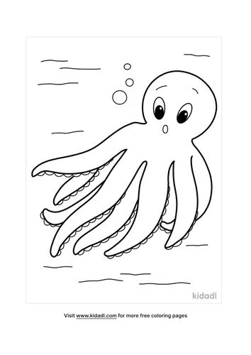 octopus drawing-4-lg.png