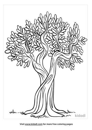 olive tree coloring page-4-lg.png
