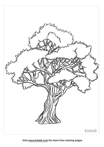 olive tree coloring page-5-lg.png