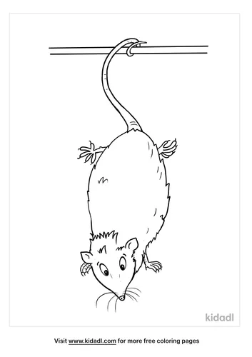 opossum coloring page-3-lg.png