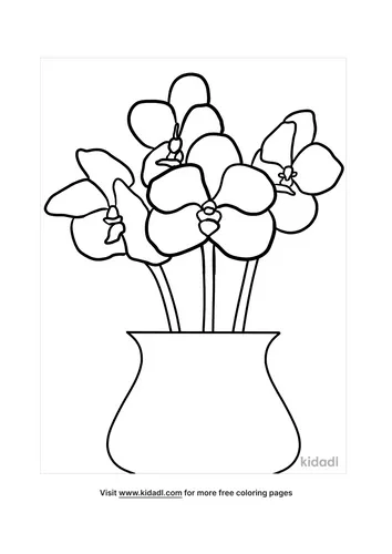 orchid picture-3-lg.png