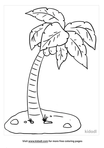palm tree coloring page_4_lg.png