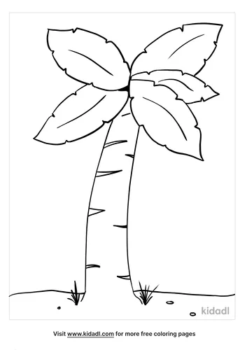 palm tree coloring page_5_lg.png