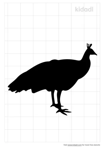 peacock-body-stencil.png