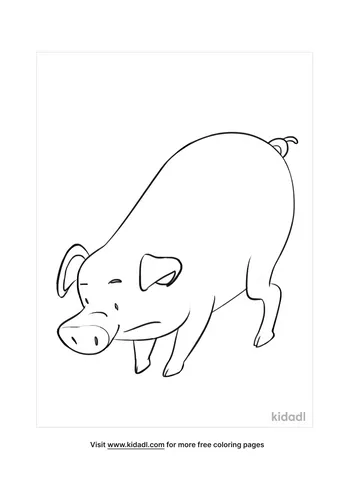 pig coloring pages-3-lg.png