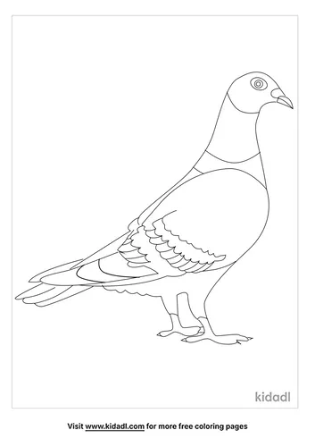 pigeon-coloring-pages-2-lg.png