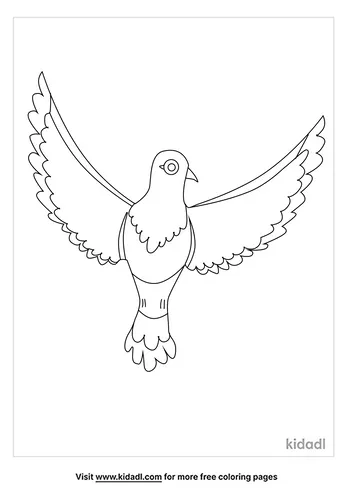 pigeon-coloring-pages-3-lg.png