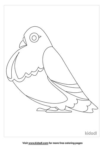 pigeon-coloring-pages-4-lg.png