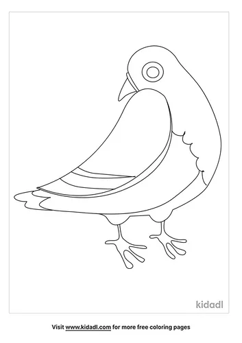 pigeon-coloring-pages-5-lg.png