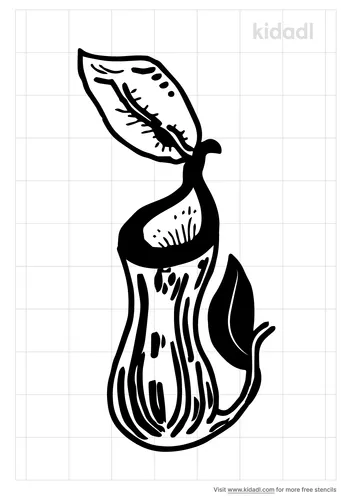 pitcher-plant-stencil