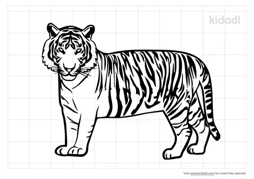 realistic-tiger-stencil.png