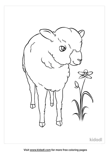 sheep coloring page-2-lg.png