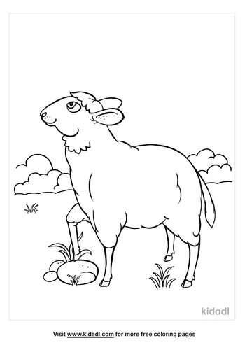 sheep coloring page-3-lg.png