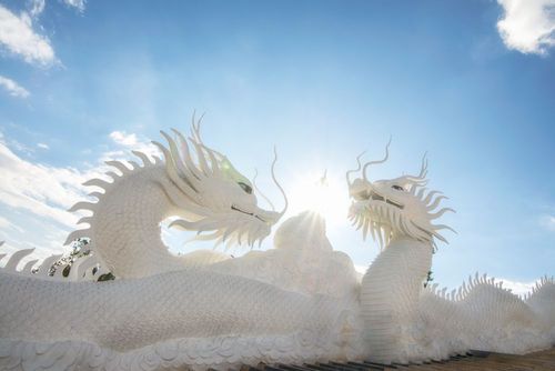 Two majestic white dragons sculpture